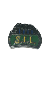 Hovedbilde Storhamar Pin